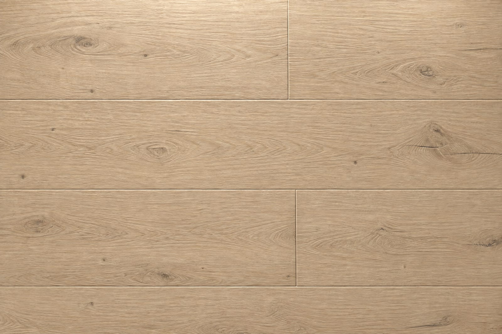 True Oak plank cross-section